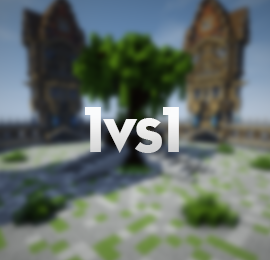 1VS1